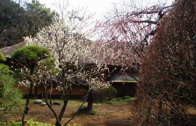 偕楽園内の好文亭の写真です。<br /><br />好文亭から見える庭、見渡せる園内は開放的な空間でした。晴れていれば筑波山も見えるようです。<br /><br />庭も置かれている石、植木などセンスが良いです。