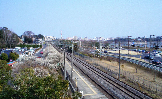 臨時駅「偕楽園前」の鉄道写真です。<br /><br />土日の行楽シーズンのみ臨時停車するそうです。<br /><br />JRのローカル線でのんびりと水戸まで・・・もなかなか楽しかったです。上野から一本で行くことができます。