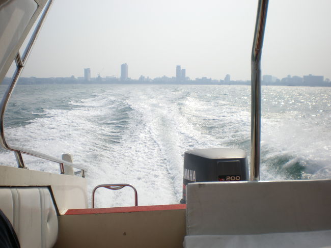 ラン島には、高速ボートでした。１５分か２０分ぐらいでついたようですが、陸で見ているのと違い、乗り心地は悪く、長い距離は乗りたくない。