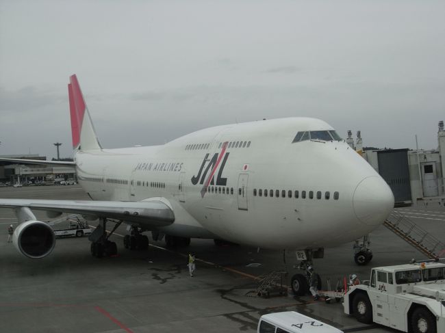 ■成田空港■<br /><br />お世話になります…。