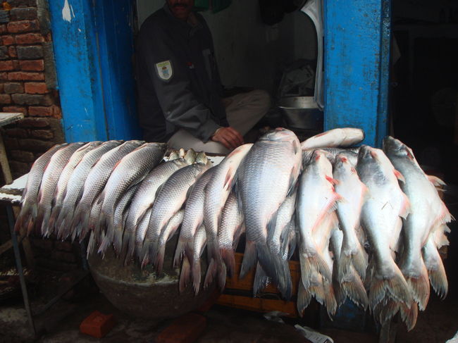 むむ。冷蔵庫は?そんなもんに入れとったら、見えんでしょーが！