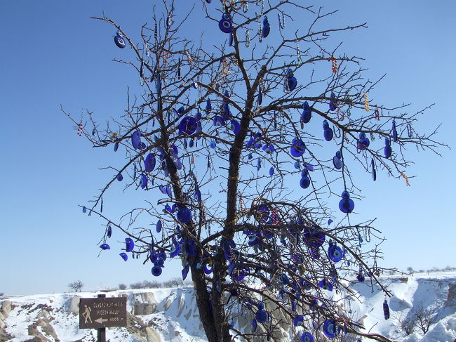 ナザール・ボンジュウのなる木
