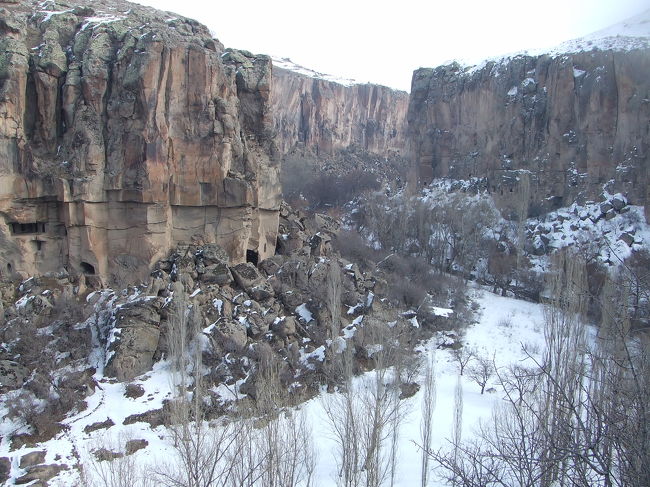 雪の中のトレッキング<br />これもガイドさんと二人だけでした。