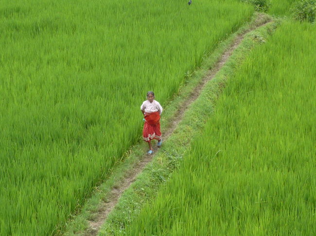 彼女の家の窓から・・