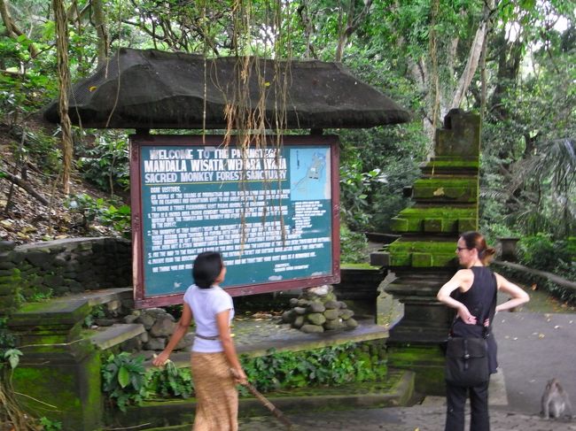 ■モンキーフォレスト■<br /><br />お猿さんがイッパイいるらしい…<br /><br />