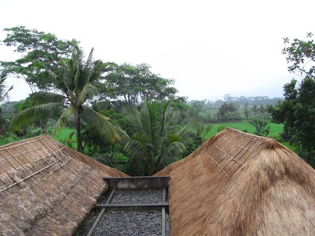 ■コリウブド■<br /><br />オオッ！！<br /><br />雨が小降りになってきた！！