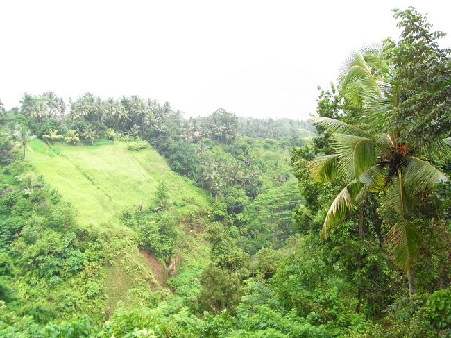■ネカ美術館■<br /><br />雄大な景色が広がる！！<br /><br />さすがウブド♪<br />