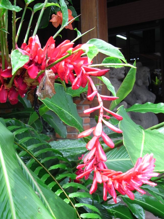 ■ネカ美術館■<br /><br />