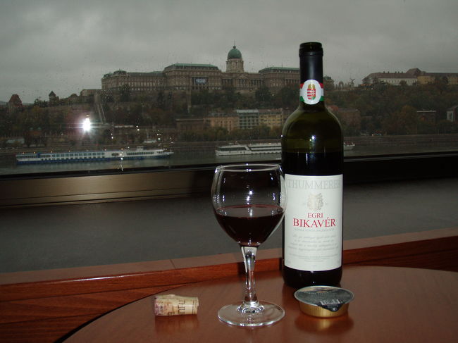 素晴らしい景色を見ながら、お部屋で夕食。<br />ﾊﾝｶﾞﾘｰの赤ﾜｲﾝ。<br />味は･･･　でも気分は満足。