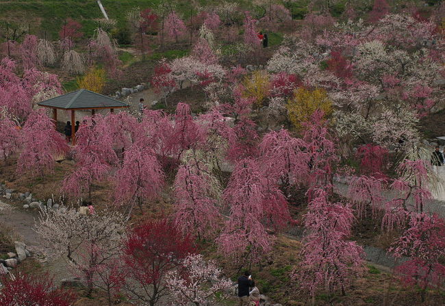 高台からの眺めは素晴らしいの一言