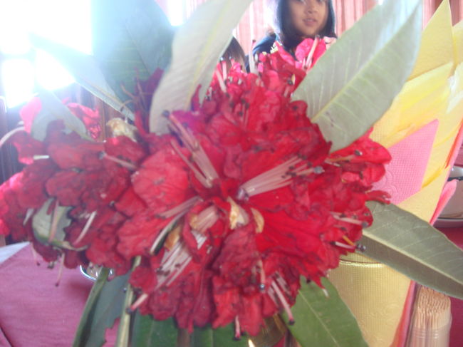 ここから、ちょっと花をごらんください。先ずこれは、朝食のテーブルにあったラリグラス：石楠花：ネパールの国花。高いのだわ、このへん。トレッキングに行った人が持って帰ってきてくれたものしか見たことなかった。ので、ちょっと感激。