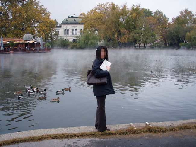 「市民広場の池」<br />ここには温泉ﾌﾟｰﾙがあるので、池の水も温泉。<br />湯気が立っていて、鳥もとっても気持良さそうです。<br />でも、魚は煮えてしまわないんでしょうか･･･？<br />触ってみましたが、かなり温かかったです。<br />