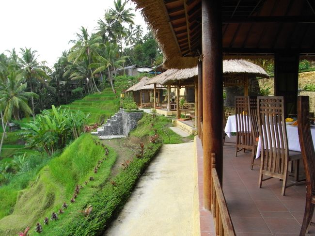 ■テラス・パディ■<br /><br />階段を下りると、ガイドブックと同じ光景が！！<br /><br />よかったーーーーーーーーーーーー♪<br /><br />(;´▽｀A``<br /><br />