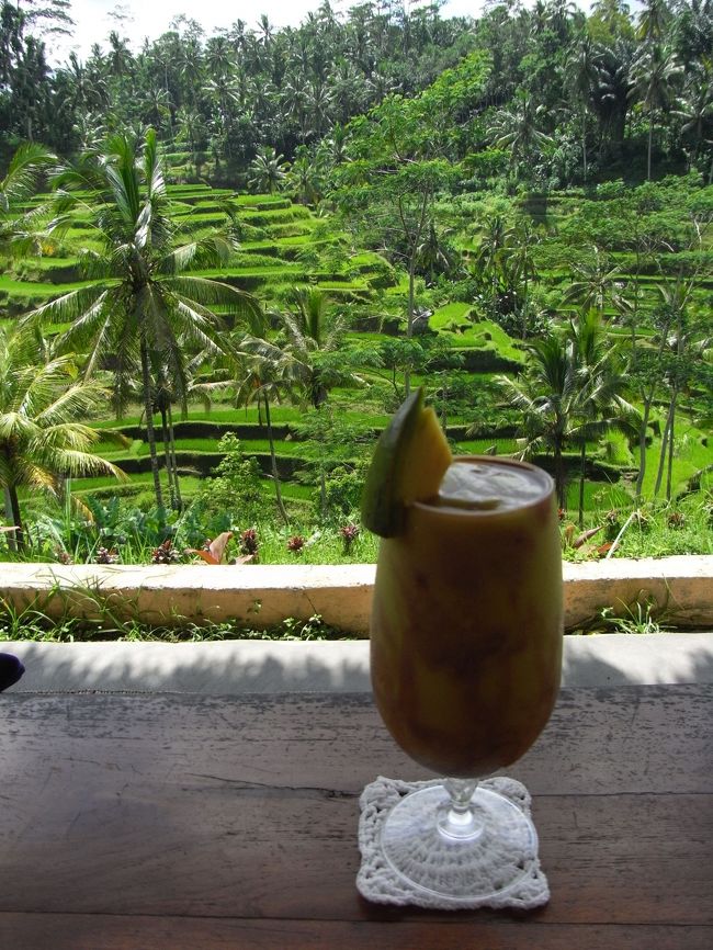 ■テラス・パディ■<br /><br />フルーツジュースはホテルでたくさん飲んだので、<br />アボカドジュースをオーダー！！<br /><br />味は…濃厚。<br />もうちょっとチョコが多めでもイイような。<br /><br />本当は象の後、ココでランチ予定だったが…<br /><br />お茶しながら、<br />のんびりと景色を満喫デキたので大満足♪<br /><br />d(´▽｀)b<br />