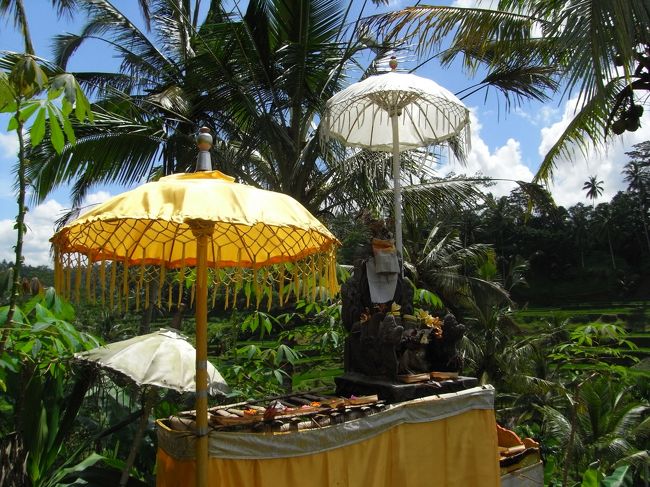 ■テラス・パディ■<br /><br />祭壇のような物があり、お供えもちゃんとある！！