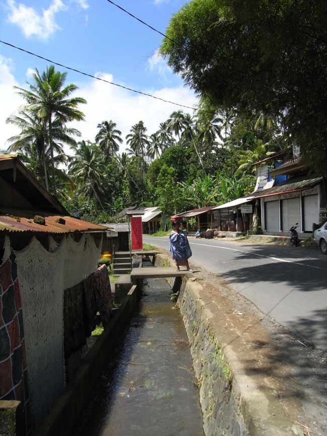 ■テラス・パディ■<br /><br />あちこちで見かけた、<br />頭に物をのせている女性。<br /><br />首、こらないのかなぁ〜<br /><br />(´・ω・`)<br /><br /><br />