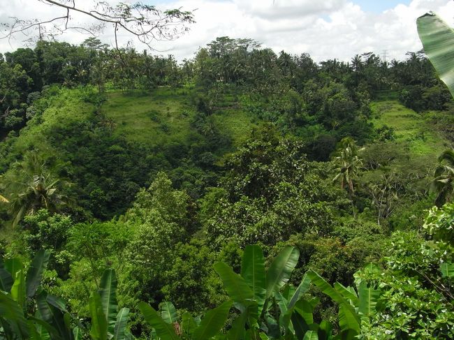 ライステラスを後にし、１時間ほどのドライブ♪<br />（↑ただの移動とも言う…）<br /><br />ウブドは本当に自然がイッパイで、<br />ディーさんは地元という事もあり、景色がイイところを<br />選んで、わざわざ移動してくれた。<br /><br />しかし、あちこちでホテルやヴィラの建設が<br />行われている為、だいぶ自然が減ってきて<br />いるらしい…<br /><br />ううん…胸がイタイ話だなぁ。