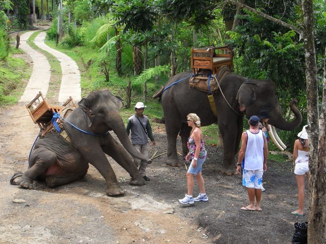 ■エレファント・キャンプ■<br /><br />やっと順番になり、二階建ての台のような所で待機。<br /><br />前に乗っていたご一行。<br /><br />ペッチャリ座っているメスの象が、何ともカワイイ♪<br /><br />(pq≧v≦)♪<br />
