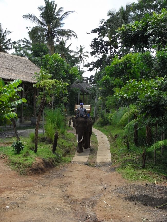 ■エレファント・キャンプ■<br /><br />あッ！<br />象が来た！！<br /><br />もしや…<br /><br />