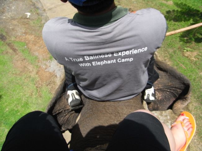 ■エレファント・キャンプ■<br /><br />乗っちゃった！！<br />めちゃめちゃ揺れる…<br /><br />ここここ、コワイよーーーーーーー！！<br /><br />。゜゜(´□｀。)°゜<br /><br />ジミーはさっきの２頭より大きいので、<br />かなり高い…私、高所恐怖症じゃーーーーん！！<br />