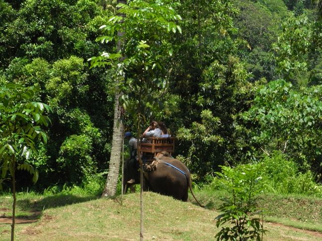 ■エレファント・キャンプ■<br /><br />前を行く、カップル。<br />なんて優雅に乗りこなしてるの…<br /><br />私なんて必死にしがみついていて、<br />必需品の日傘がさせない！っていうのに…<br /><br />平坦な道はそれなりに慣れるけど<br />下り坂はまさに恐怖！！<br /><br />お腹にあるバーが無ければ、絶対落っこちる！<br />