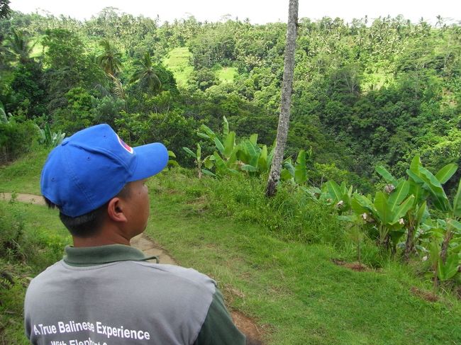 ■エレファント・キャンプ■<br /><br />ジミーのトイレタイム。<br /><br />１時間に１回のペースらしい…<br /><br />へぇ〜。