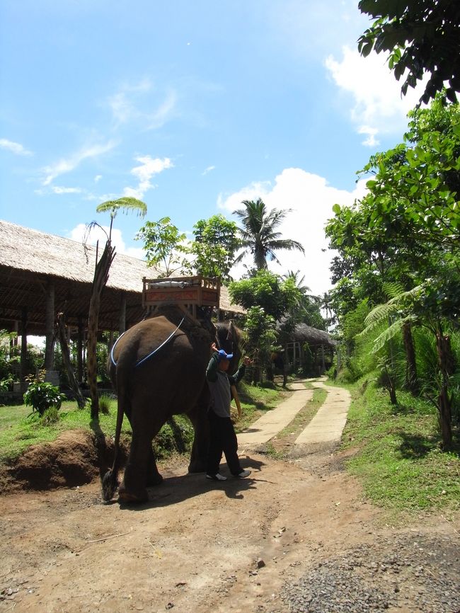 ■エレファント・キャンプ■<br /><br />バイバイ！ジミー！！<br /><br />ありがとう！！<br /><br />最後まで手を振ってくれたアリーさん！<br /><br />ありがとう！！<br /><br />ヾ(Ｔ∇Ｔ)〃<br /><br />そうそう！<br />ココは３０分＄４３位で、私が調べた所より安かった♪<br /><br />