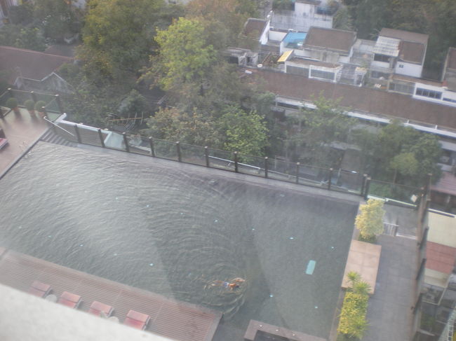 真下にはホテルのプール、ホテルのルンビニ公園側にあります。