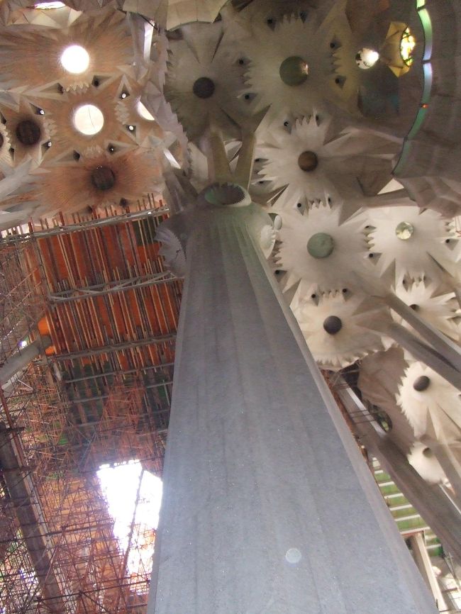サグラダ・ファミリアの天井