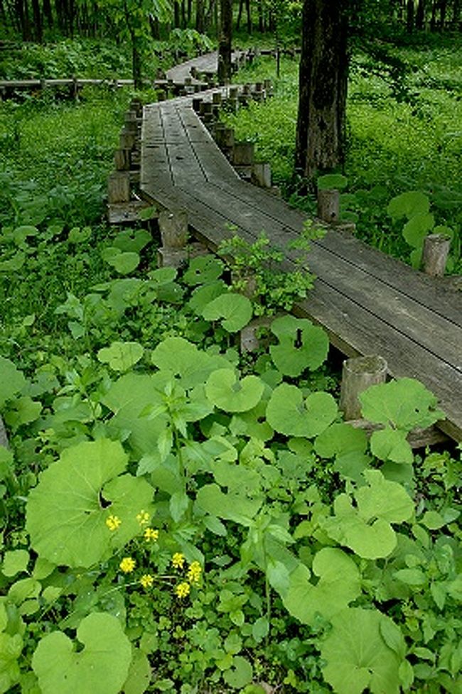遠野訪問 １ 遠野ふるさと村とデンデラ野へ 遠野 岩手県 の旅行記 ブログ By Sur Shanghaiさん フォートラベル