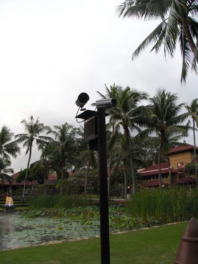 ■ロータリー■<br /><br />ゲートをチェックする、セキュリティカメラ。