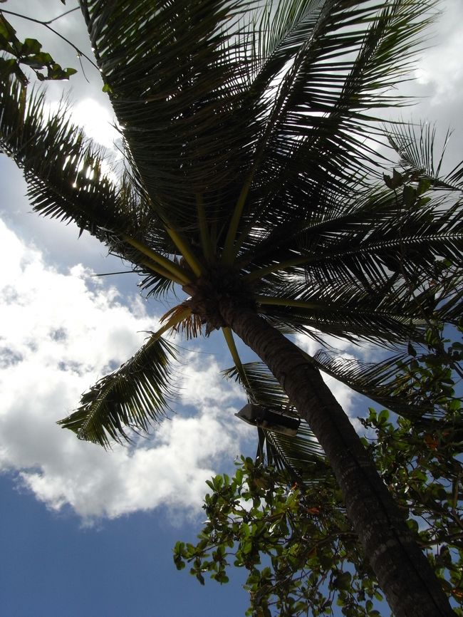 ■ジンバランビーチ■<br /><br />