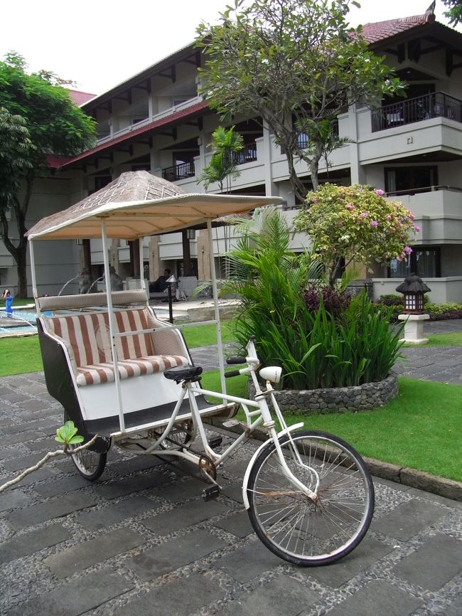 ■庭■<br /><br />移動用の自転車。<br /><br />色合いがカワイイなぁ〜♪