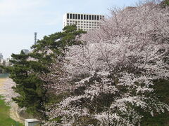 上智大学 （四谷キャンパス）