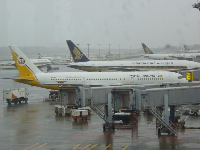 DAY1：シンガポール→ブルネイ<br /><br />初搭乗☆ロイヤルブルネイ航空。<br />ブルネイまでは約2時間の空の旅。ワクワク！