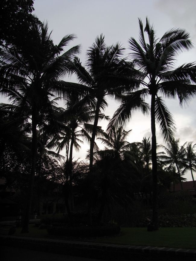 おまけ編！！<br /><br />っていうか、ただ自分が載せたかったダケ…