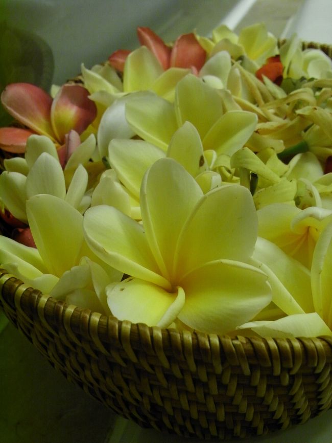 ■バスルーム■<br /><br />チェックイン初日は、フラワーバスのサービス。