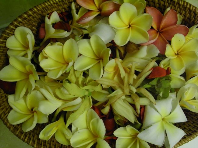 ■バスルーム■<br /><br />バスケットに入ってる状態だと、<br />ルンルン♪なのだが…