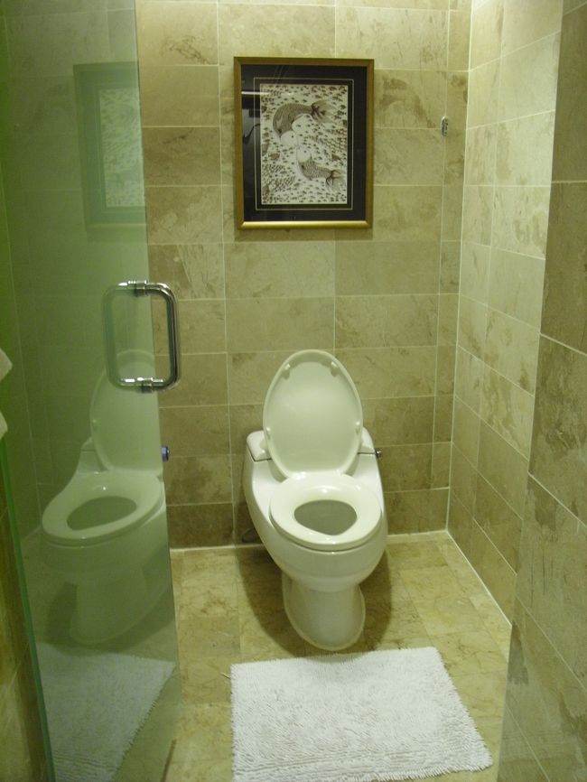 ■バスルーム■<br /><br />トイレ。<br />ウワサのシャワーみたいな物もついていた！！<br /><br />トイレットペーパーは流してOK！！<br />（バトラーに確認済み♪）<br /><br />Σd(゜∇^d)<br />