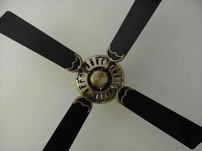 ■部屋■<br /><br />ファンもついている！！