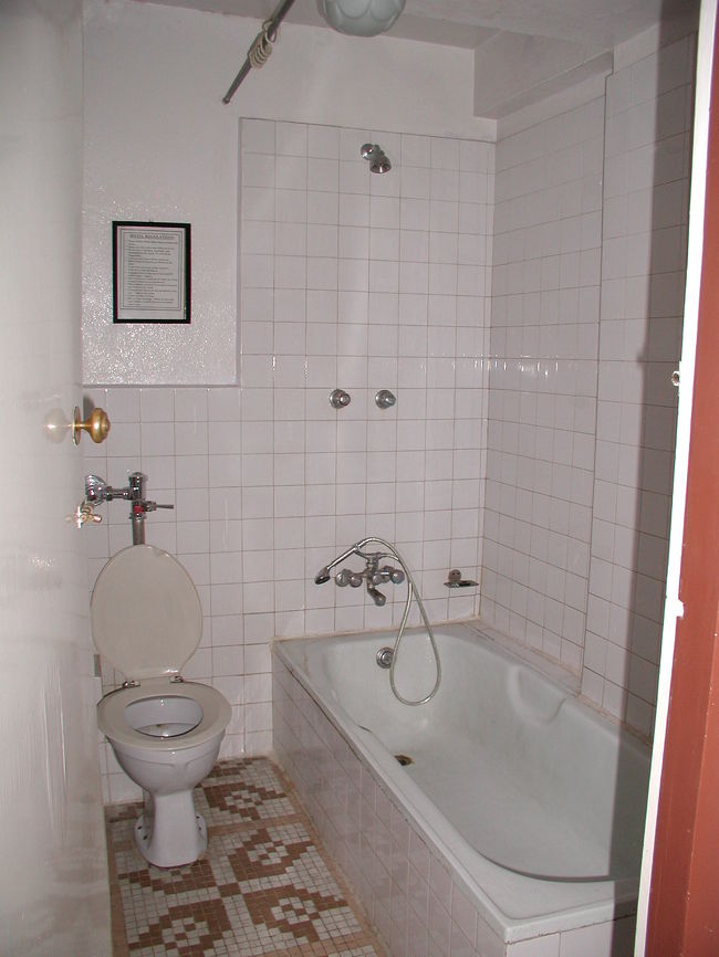 バス・トイレ付き。<br /><br />ネパールではお湯の出ないシャワーなどざらだそうです。<br />欧米人の泊まるホテルでも一日４時間の停電が実施されている。
