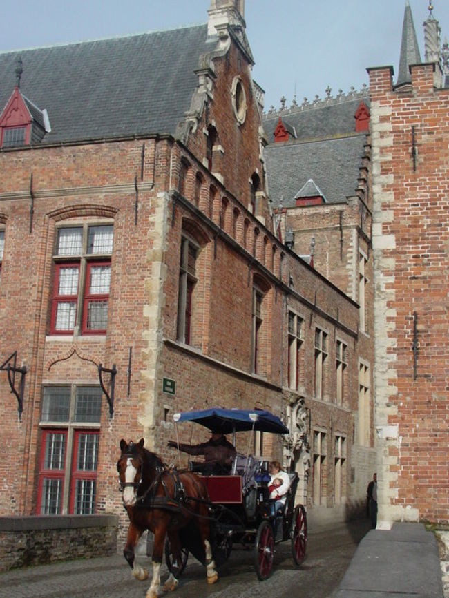 ほんとすてきだわぁ（´艸`）