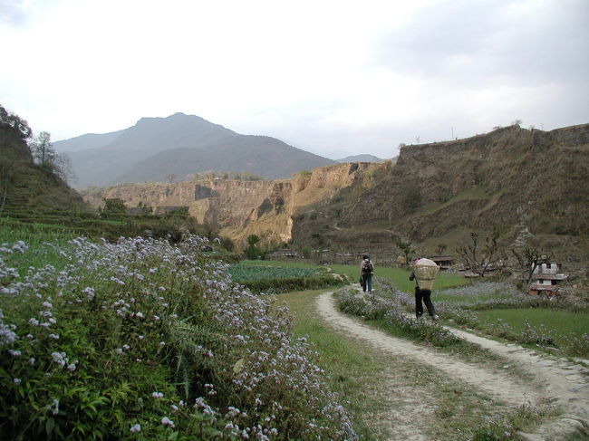 ヒャンザ村に下る。<br /><br />この辺の川（コーラ）は川べりが断崖になっていて川底の僅かな平らな土地にヒャンザ村はあった。