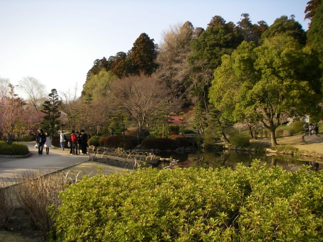 こちらも歩道橋周辺。