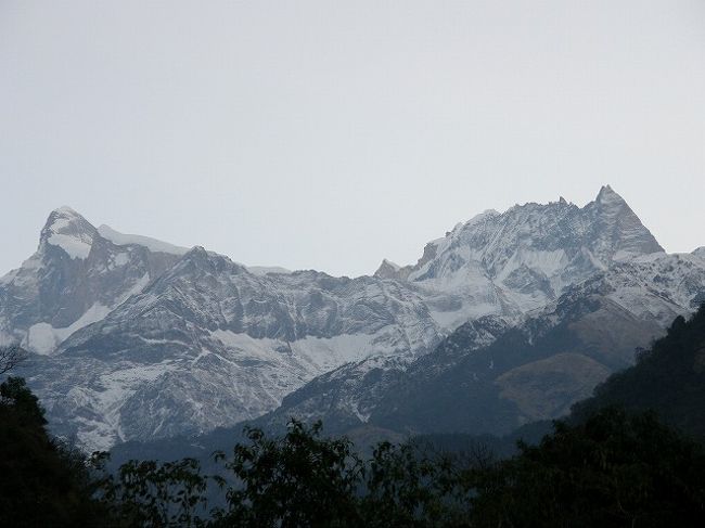 ＜アンナプルナ?・?＞<br /><br />早朝のアンナプルナ?・?<br />朝日が上がる前の幻想的な山並み。