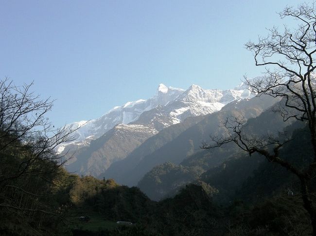 ＜アンナプルナ?・?＞<br /><br />コース最後の村からアンナプルナ?・?。<br />