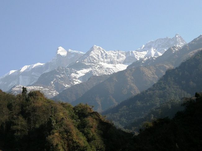 朝の柔らかな日差しを受けて<br />輝くアンナプルナ。