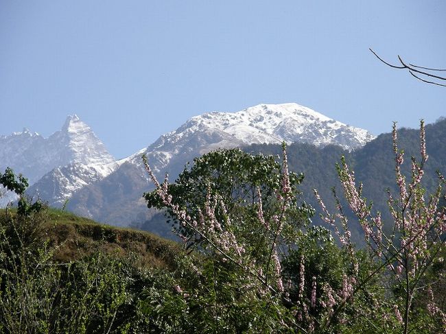 桃とラムジュン。