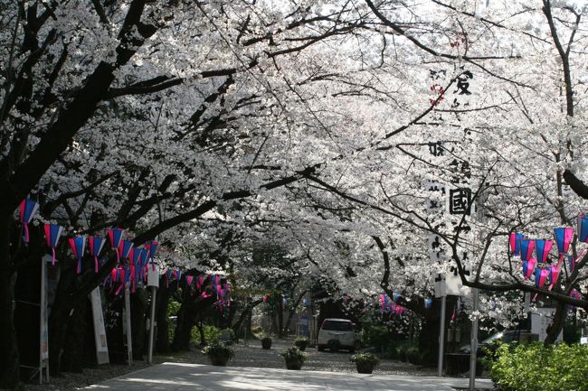 愛知県護国神社　壬午　多開喜　たひらぎ　平成14年　林春月 愛知県護国神社 壬午 多開喜 たひらぎ 平成14年 林春月 - 美術品