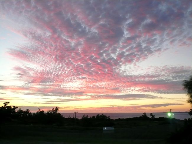３泊４日の沖縄修学旅行。。<br />ぜったいまた行きます！